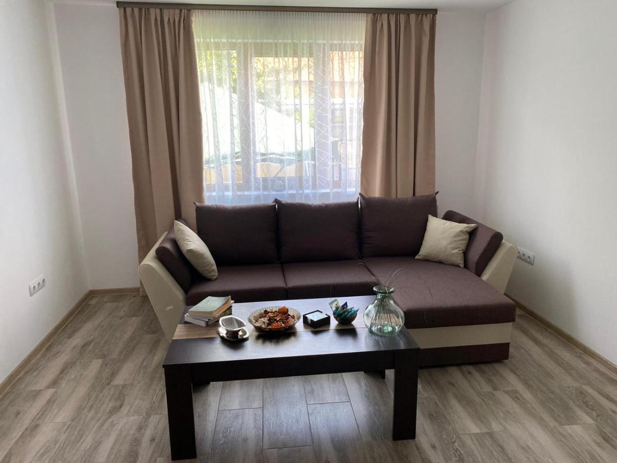 Casa Cerbului Apartment Viseu de Sus Ngoại thất bức ảnh