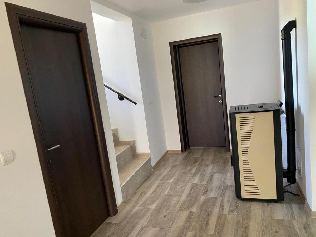 Casa Cerbului Apartment Viseu de Sus Ngoại thất bức ảnh