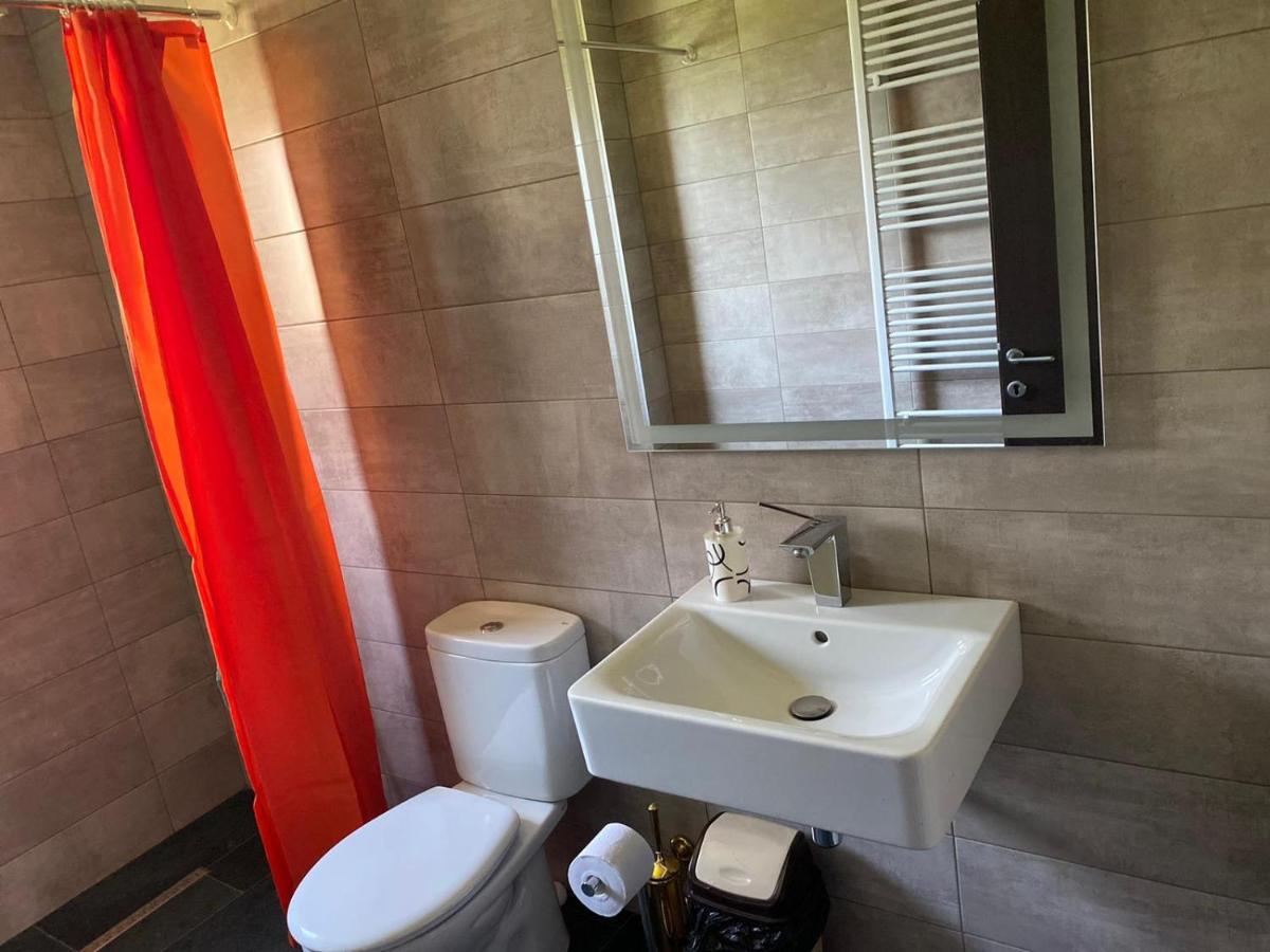 Casa Cerbului Apartment Viseu de Sus Ngoại thất bức ảnh