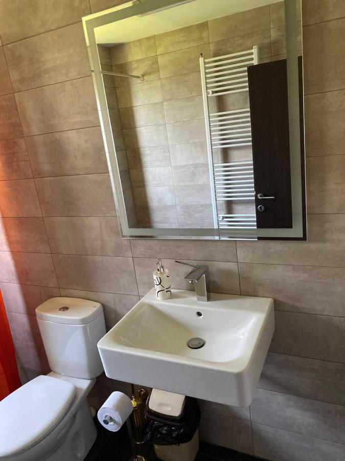 Casa Cerbului Apartment Viseu de Sus Ngoại thất bức ảnh