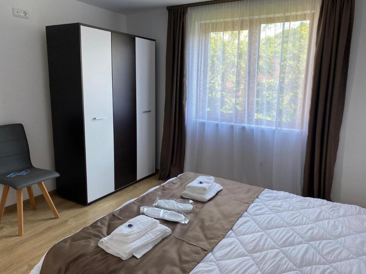 Casa Cerbului Apartment Viseu de Sus Ngoại thất bức ảnh