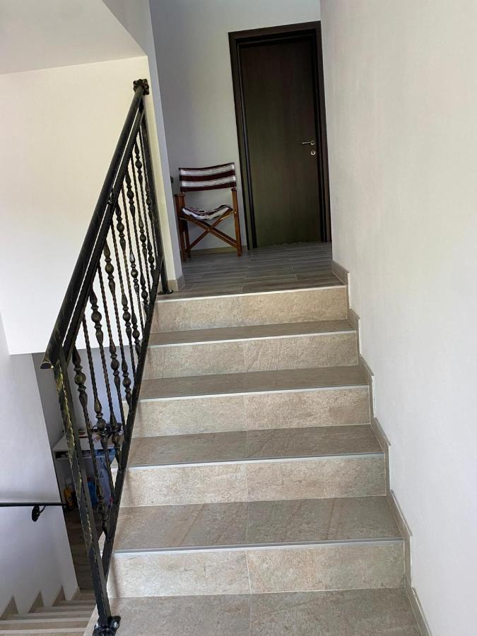 Casa Cerbului Apartment Viseu de Sus Ngoại thất bức ảnh
