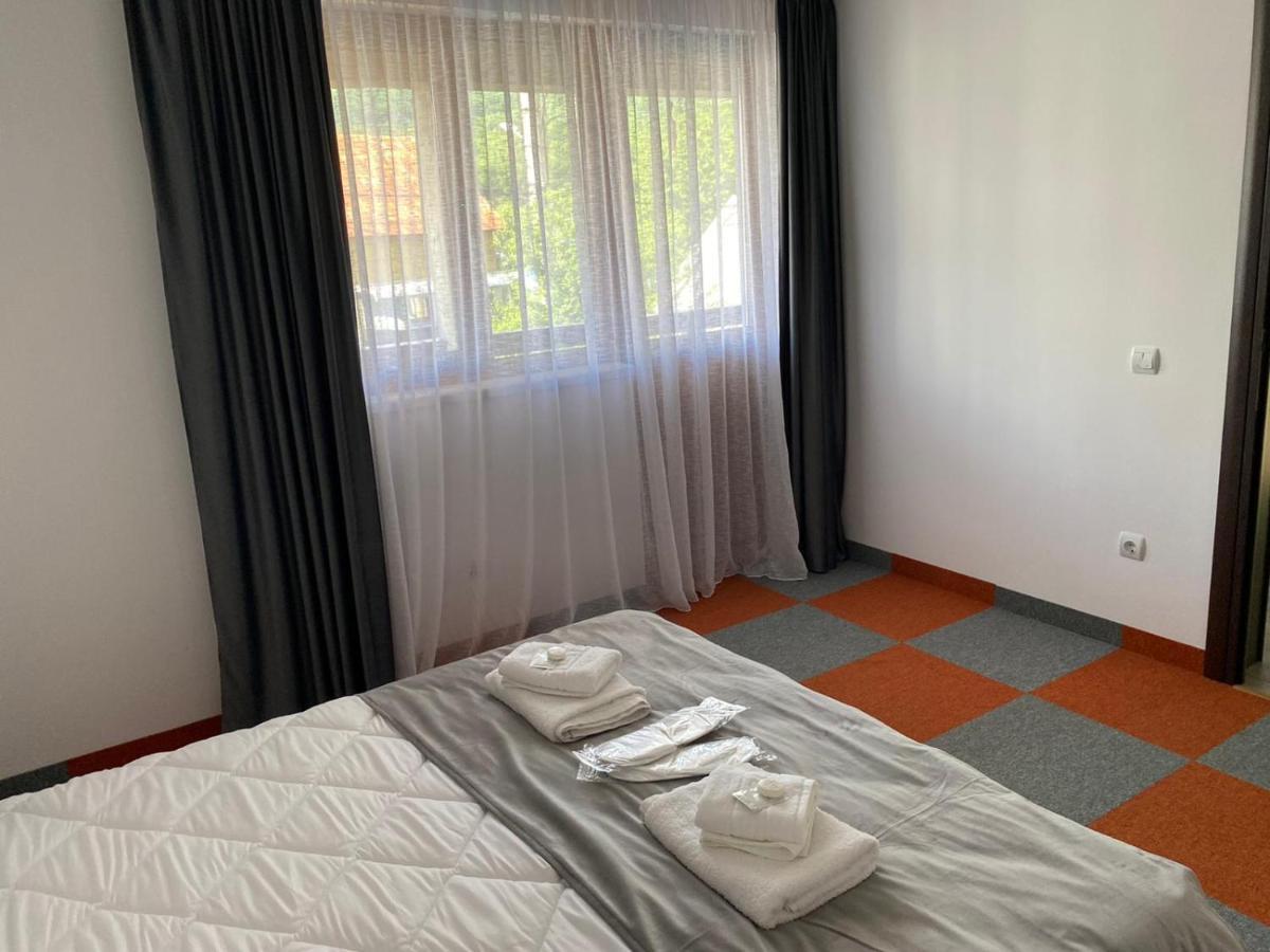 Casa Cerbului Apartment Viseu de Sus Ngoại thất bức ảnh