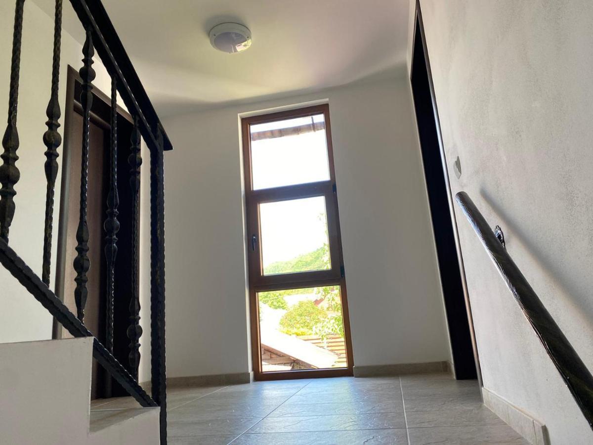 Casa Cerbului Apartment Viseu de Sus Ngoại thất bức ảnh