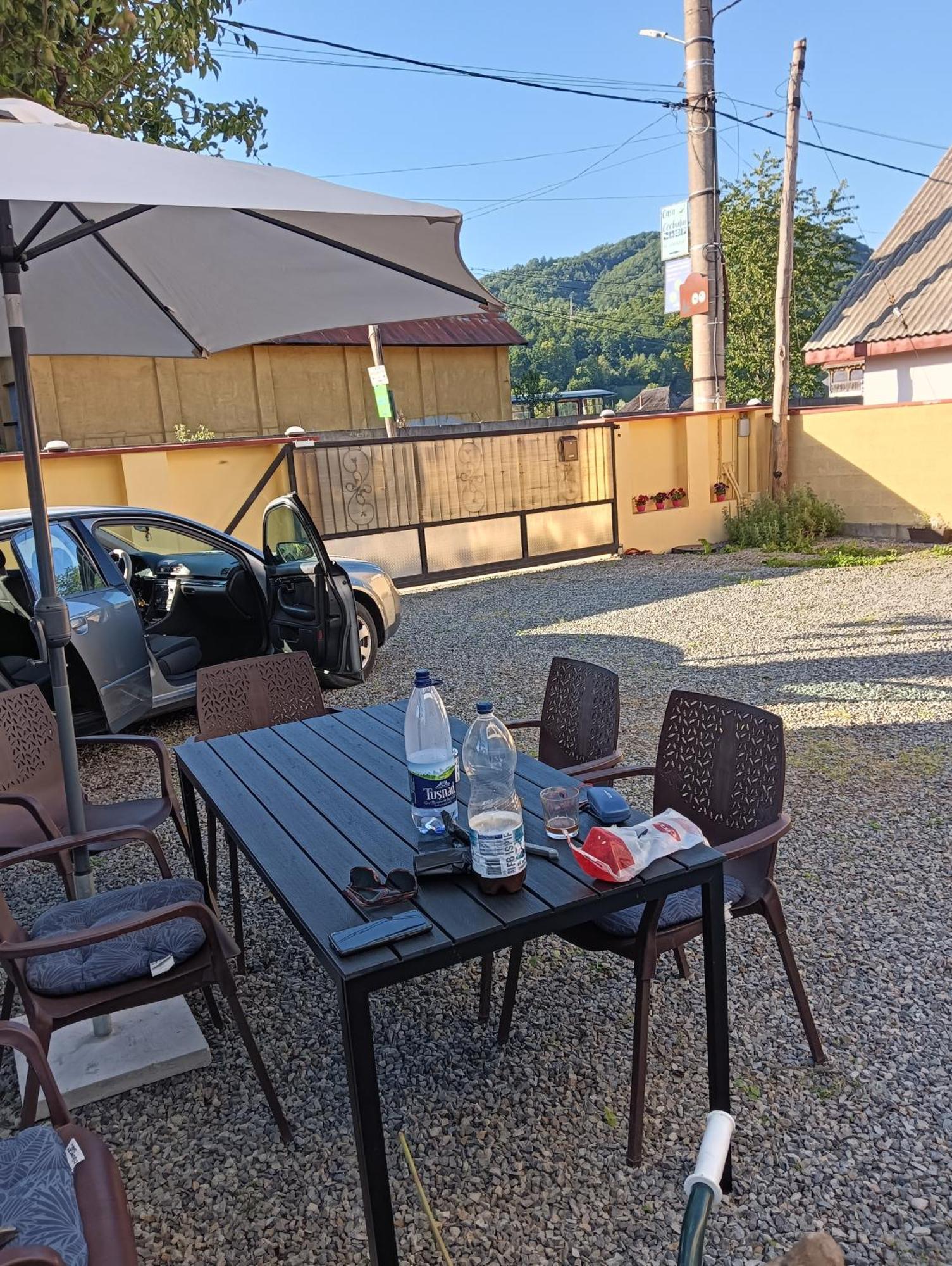 Casa Cerbului Apartment Viseu de Sus Ngoại thất bức ảnh