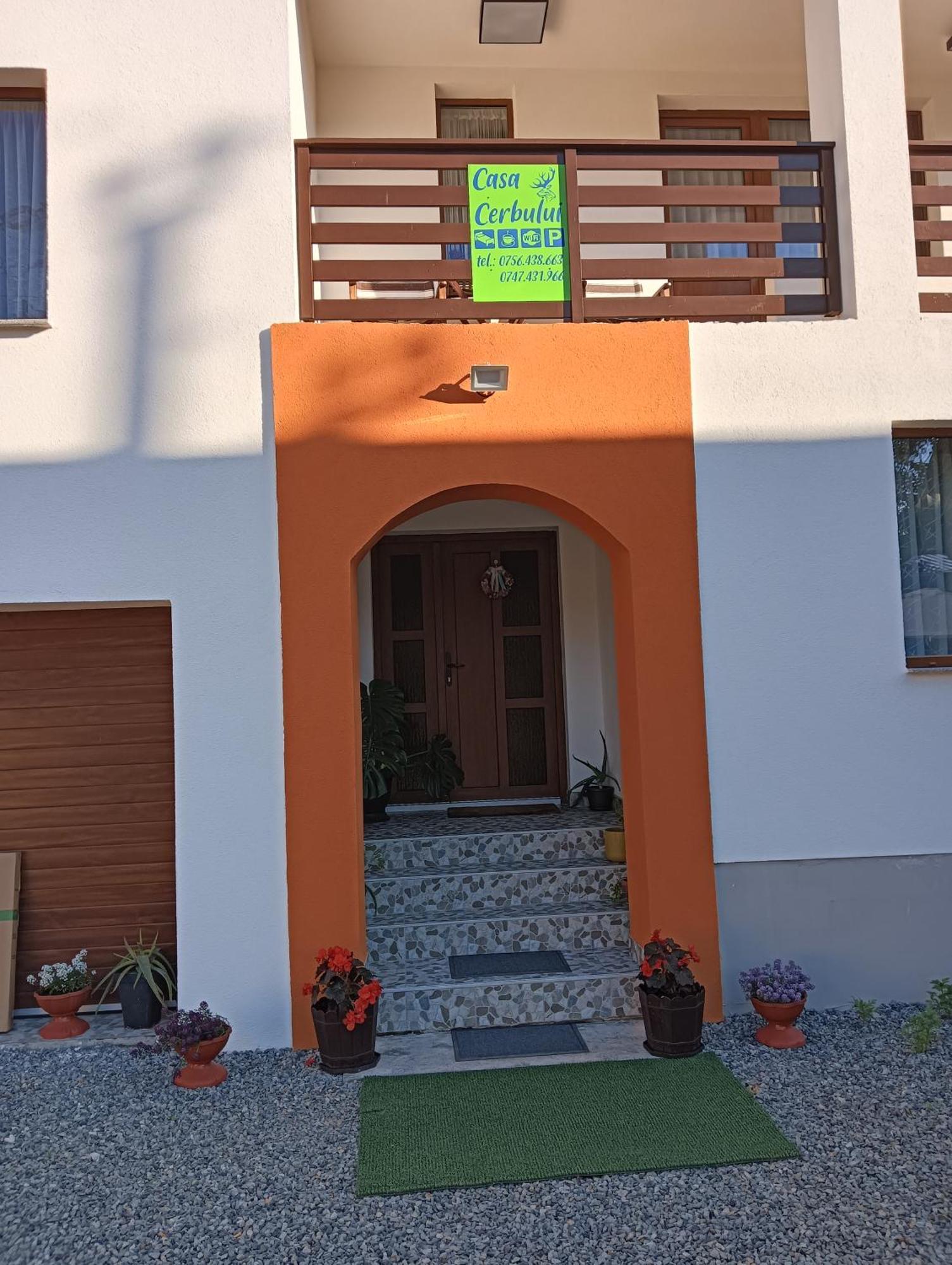 Casa Cerbului Apartment Viseu de Sus Ngoại thất bức ảnh